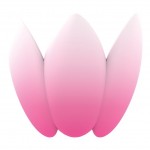 Lotus Lotus