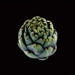 alimentacion ecologica - vegefruit