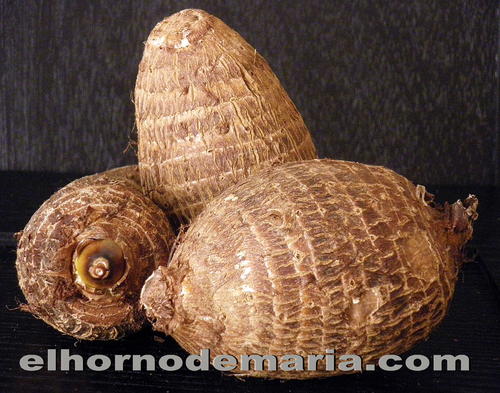 Malanga