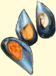 Mejillones al vapor en Salsa Picante